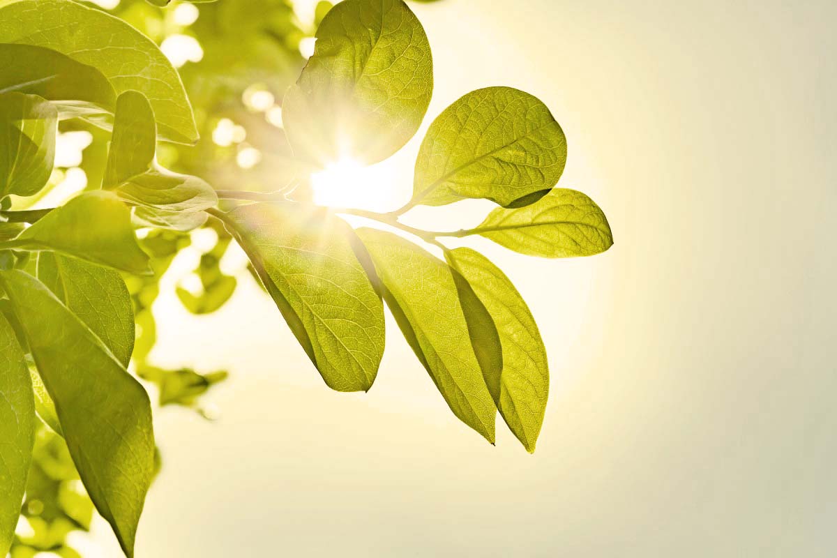 Protan lanserer sin nye bærekraftsrapport